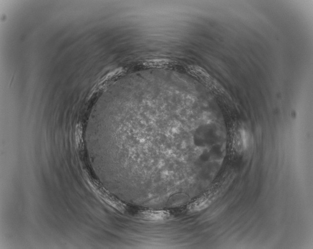 X0000085000711200703191050