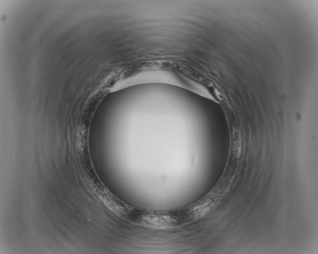 X0000085000712200703191050