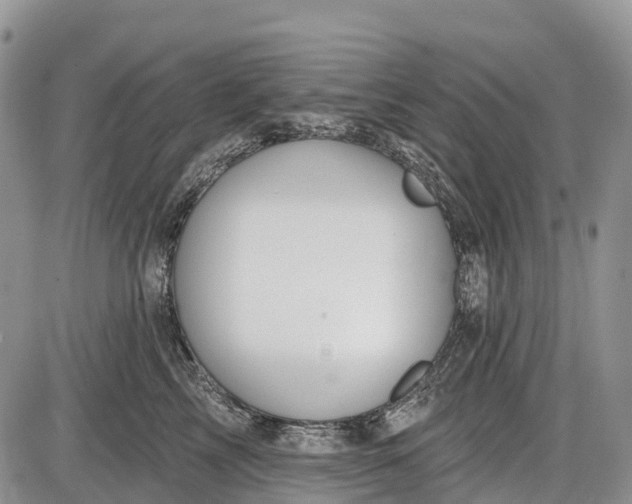 X0000085000713200703191050