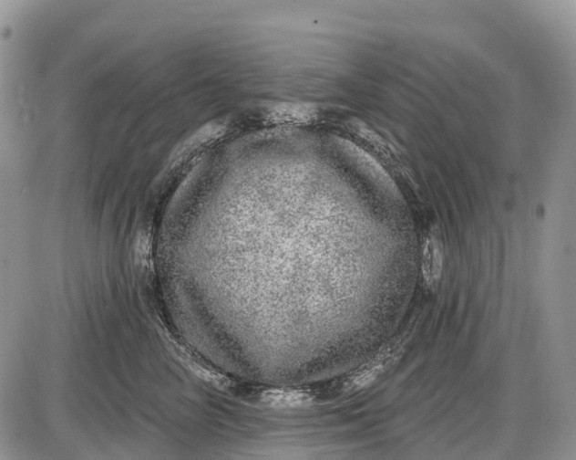 X0000085000714200703191050