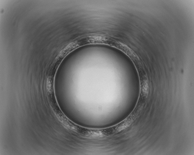 X0000085000715200703191050