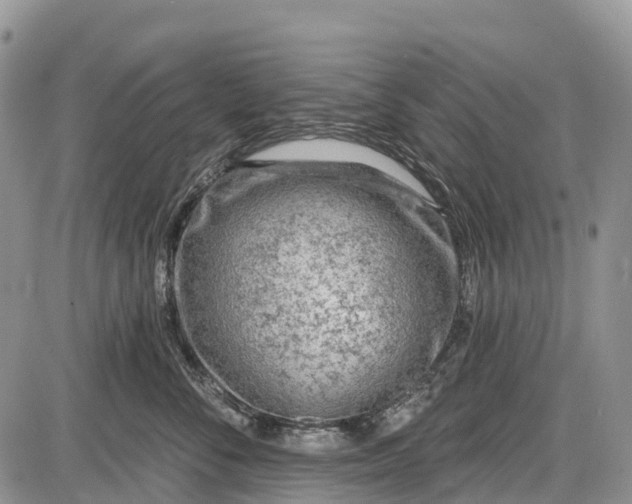 X0000085000716200703191050