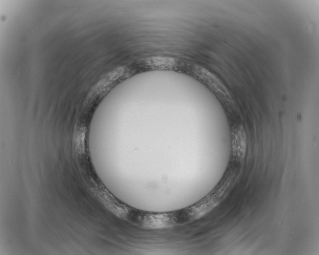 X0000085000717200703191050