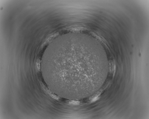 X0000085000718200703191050