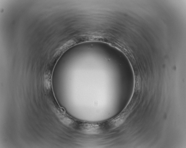 X0000085000719200703191050