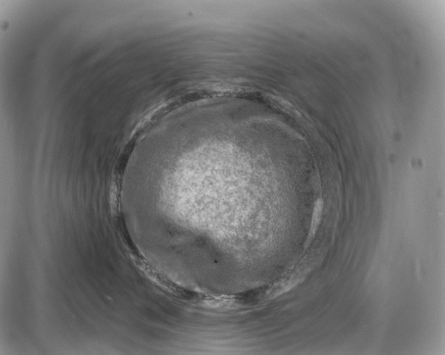 X0000085000720200703191050