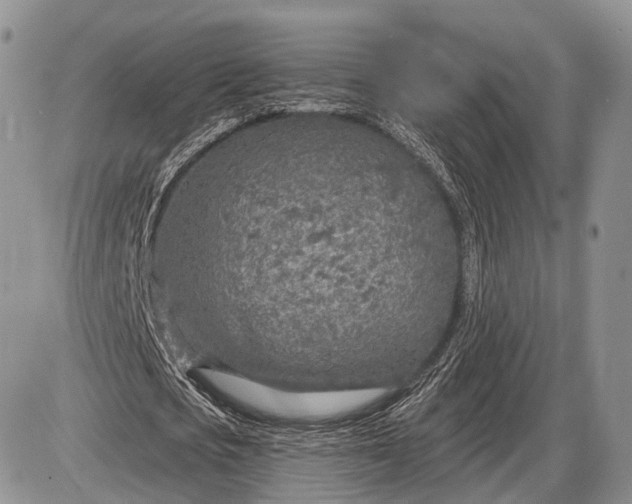 X0000085000721200703191049