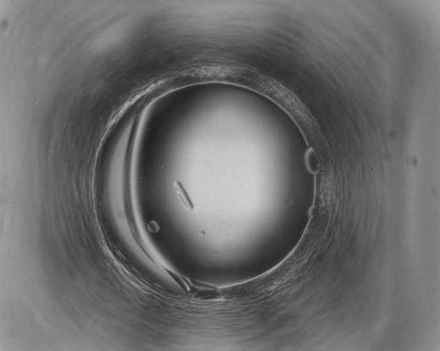 X0000085000722200703191049