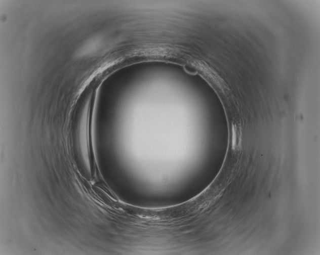 X0000085000723200703191049