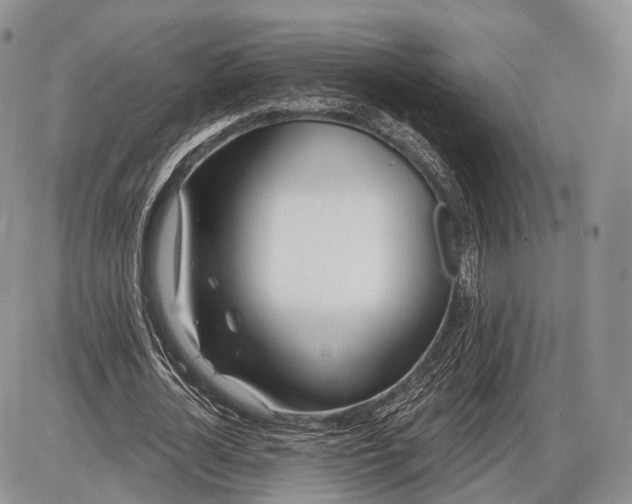 X0000085000724200703191049