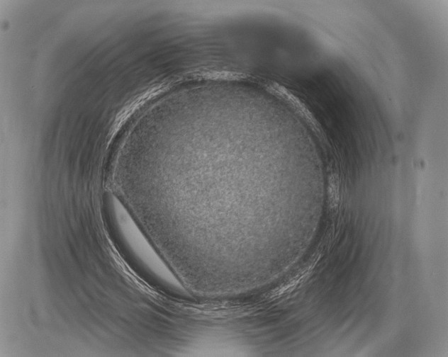 X0000085000725200703191049