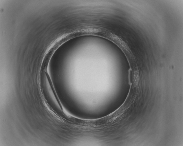 X0000085000726200703191049