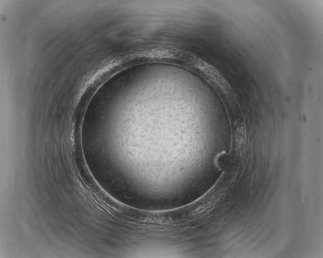 X0000085000727200703191049