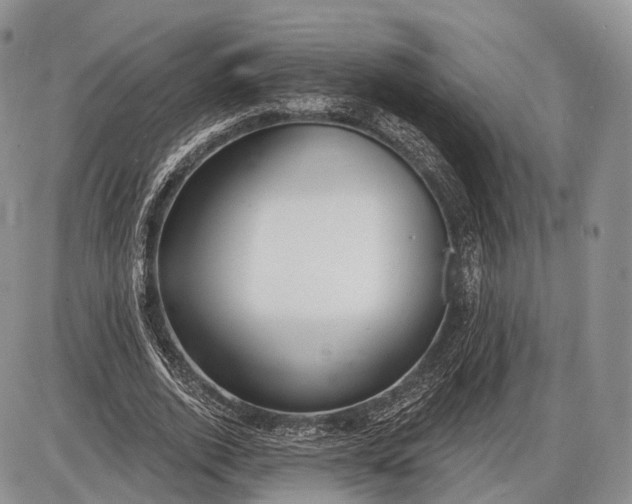 X0000085000728200703191049