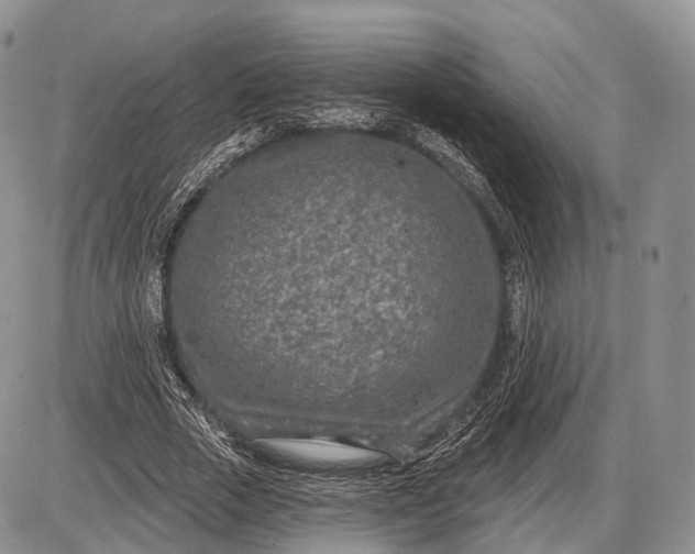 X0000085000729200703191049