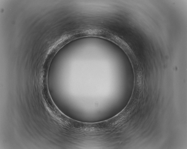 X0000085000730200703191049