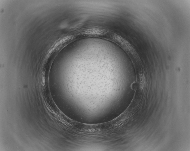 X0000085000731200703191049