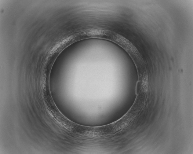 X0000085000732200703191049