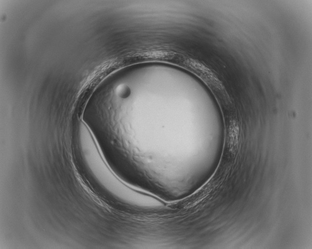 X0000085000734200703191049