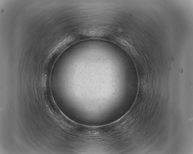 X0000085000735200703191049