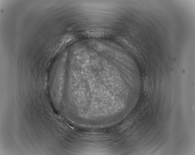 X0000085000737200703191049