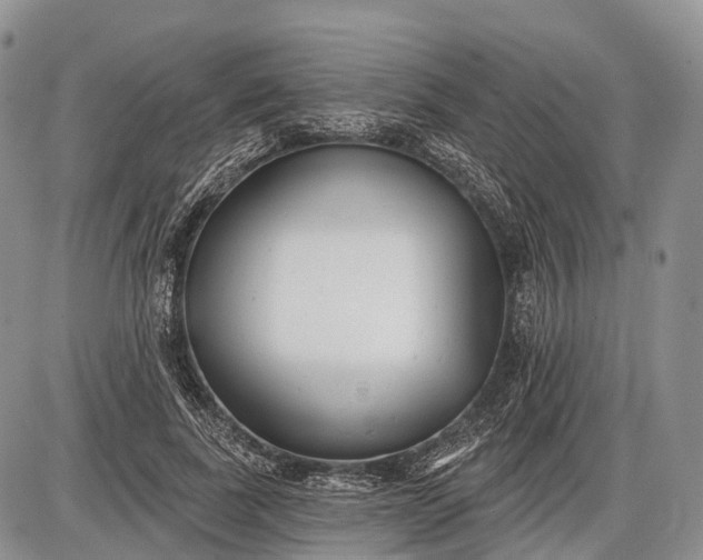 X0000085000739200703191049