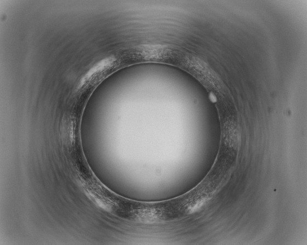 X0000085000740200703191049