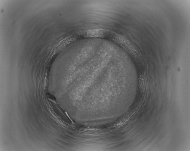 X0000085000741200703191049