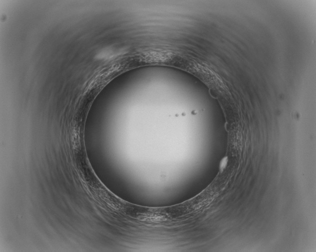 X0000085000743200703191049