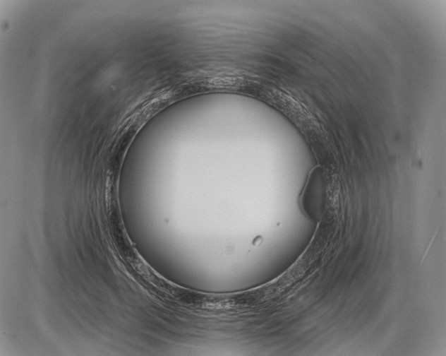 X0000085000744200703191049