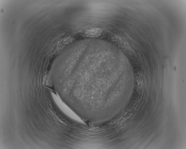 X0000085000745200703191049