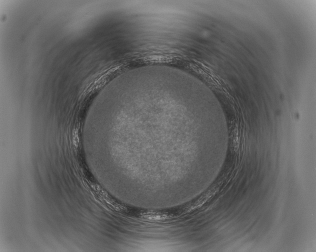 X0000085000746200703191049