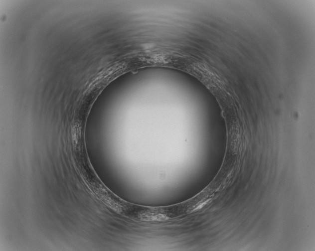 X0000085000747200703191049