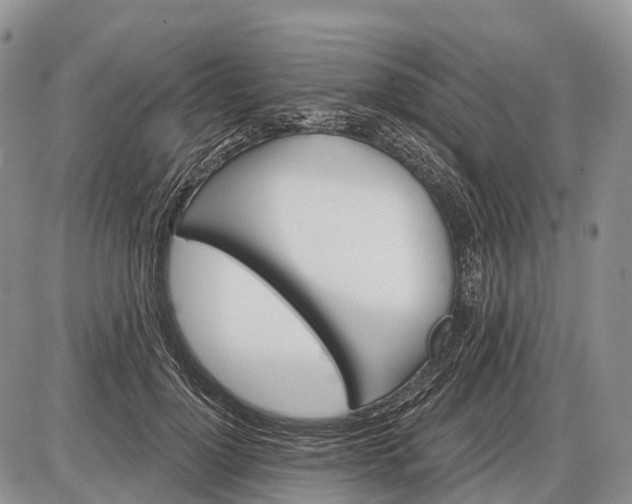 X0000085000748200703191049