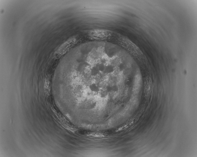 X0000085000749200703191049