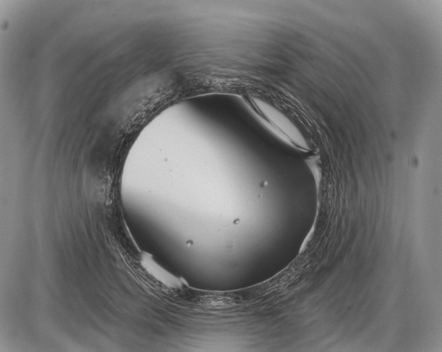 X0000085000750200703191049