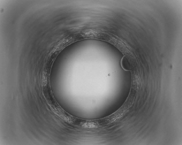 X0000085000751200703191049