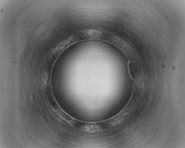 X0000085000752200703191049