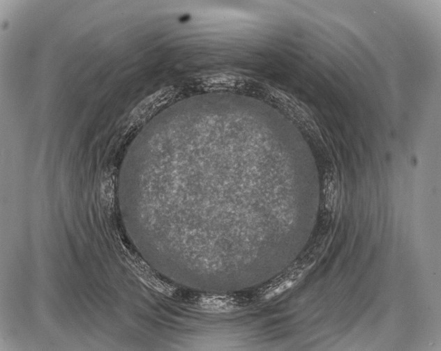 X0000085000753200703191049