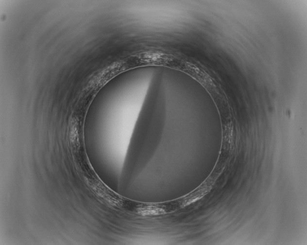 X0000085000754200703191049