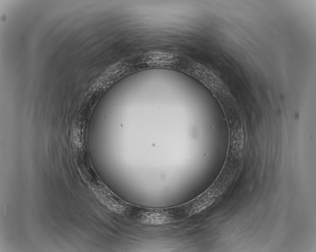 X0000085000755200703191049