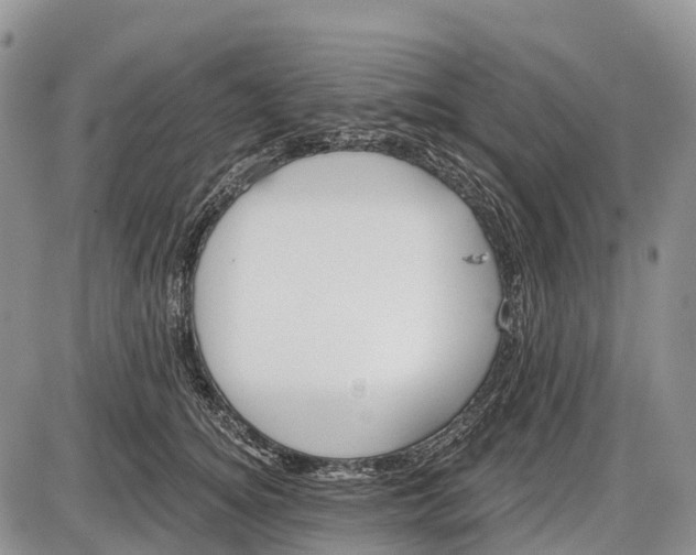 X0000085000756200703191049