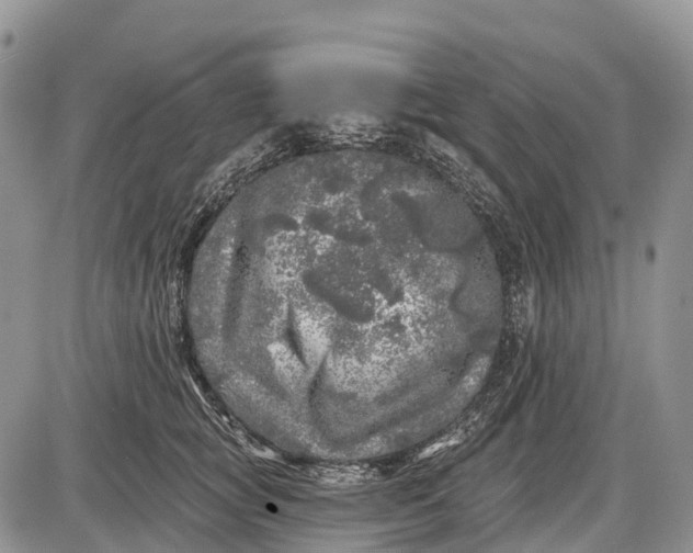 X0000085000757200703191049