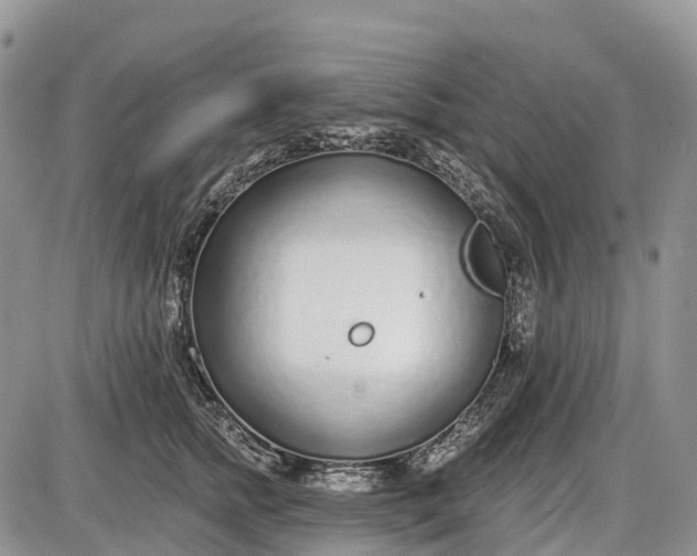 X0000085000758200703191049