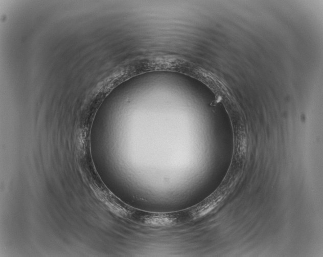 X0000085000759200703191049