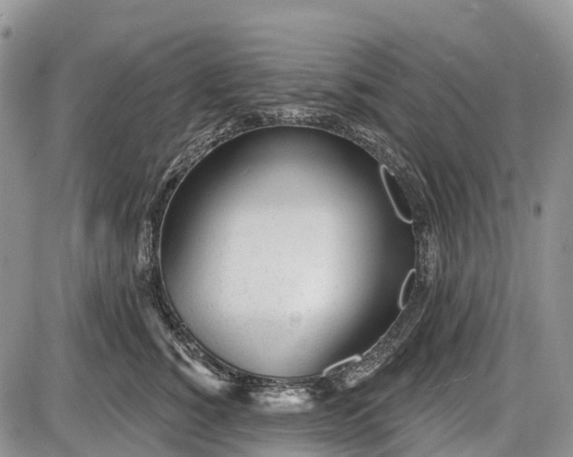 X0000085000760200703191049