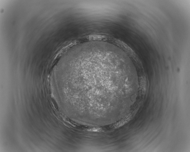 X0000085000761200703191050