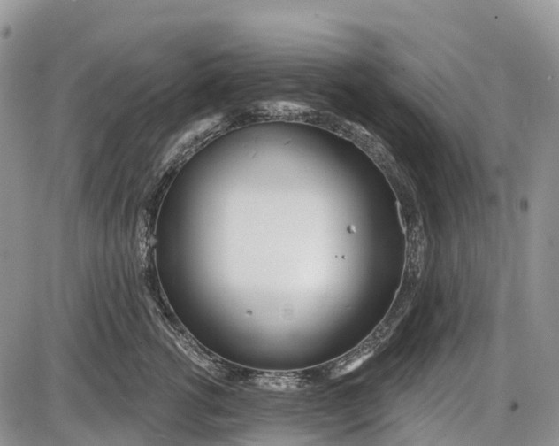 X0000085000762200703191050