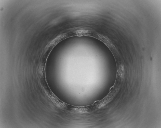 X0000085000763200703191050