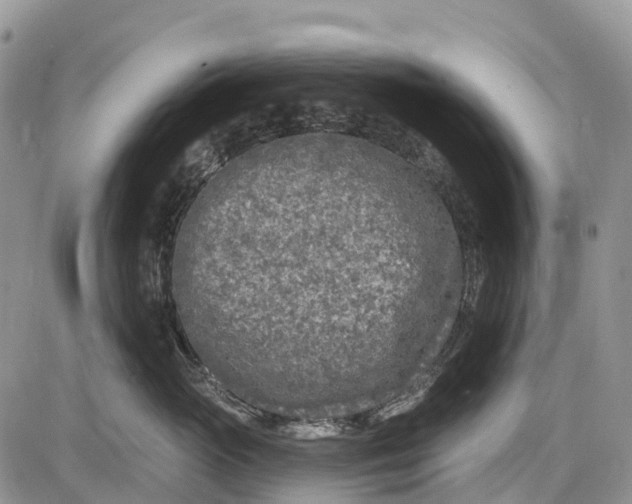 X0000085000765200703191050